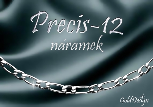 Precis 12 - náramek nerez ocel